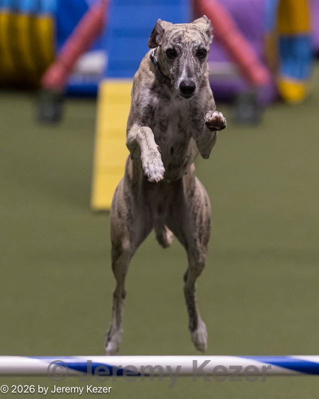 20260221-2430.jpg