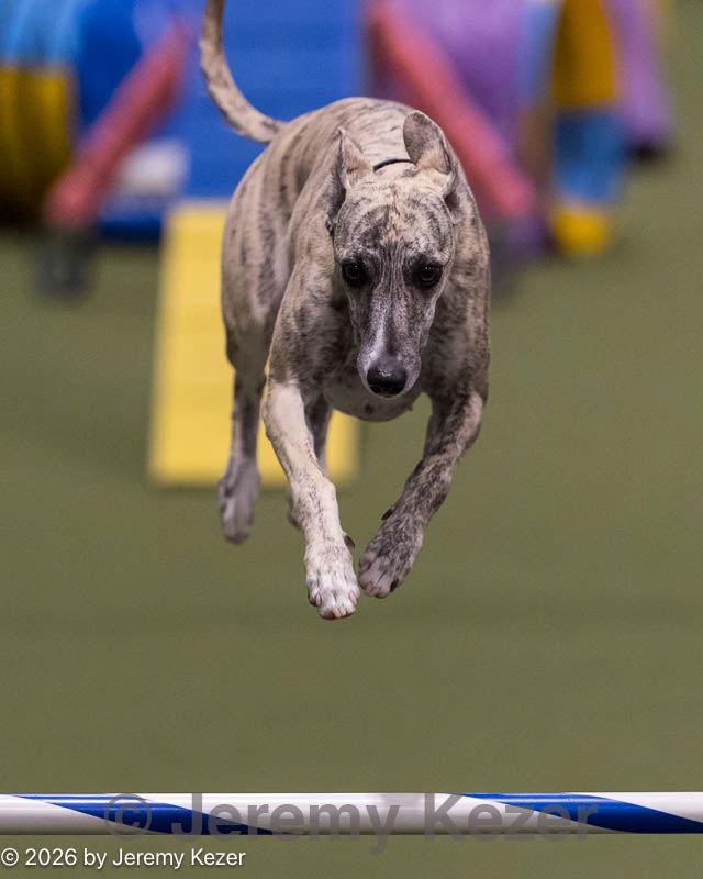 20260221-2431.jpg