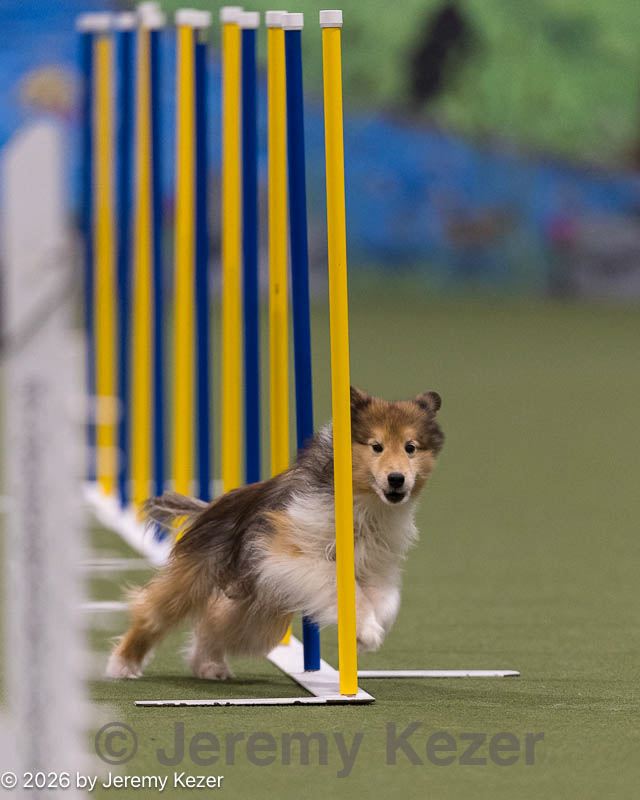 20260222-0496.jpg