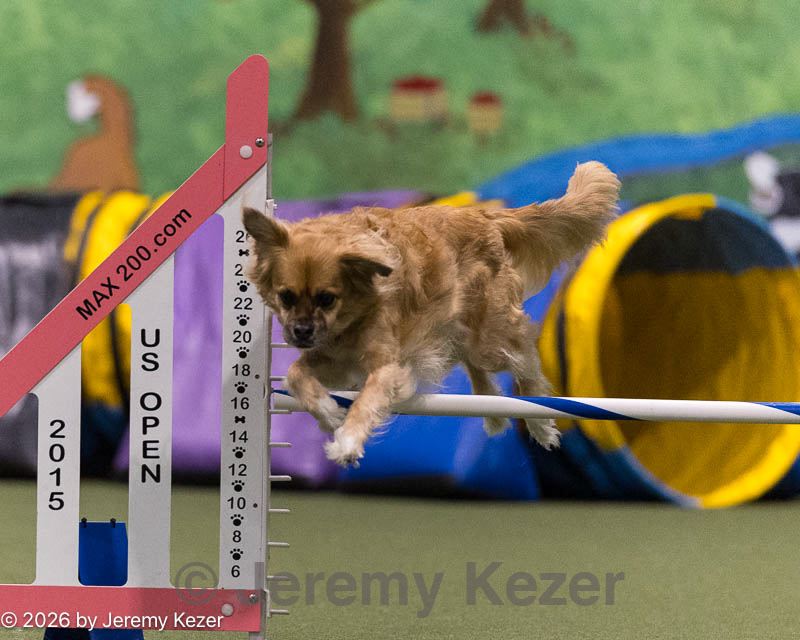 20260222-0386.jpg