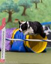 20260222-0329