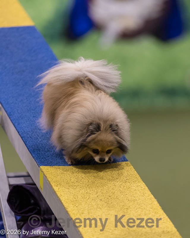 20260222-0297.jpg