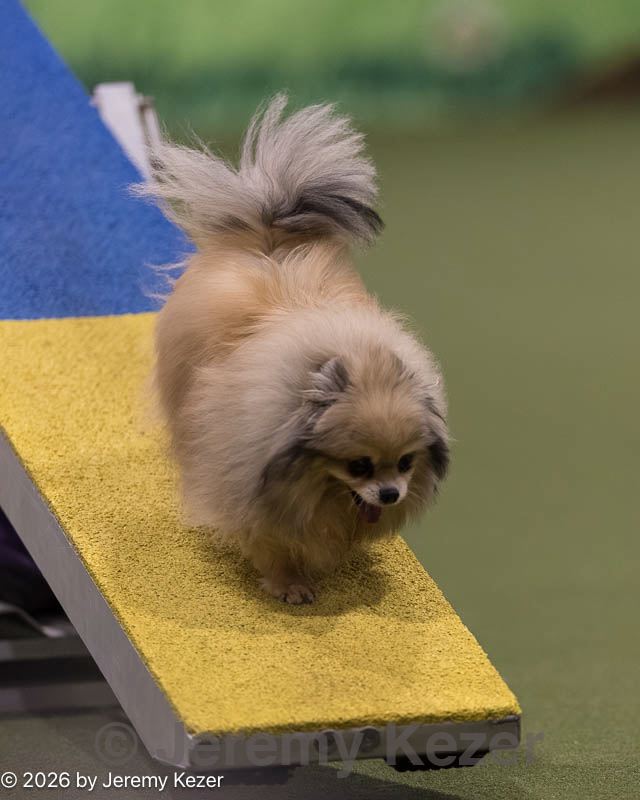 20260222-0298.jpg