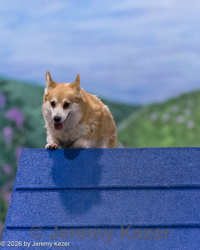 20260222-0304.jpg