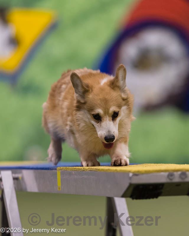 20260222-0308.jpg