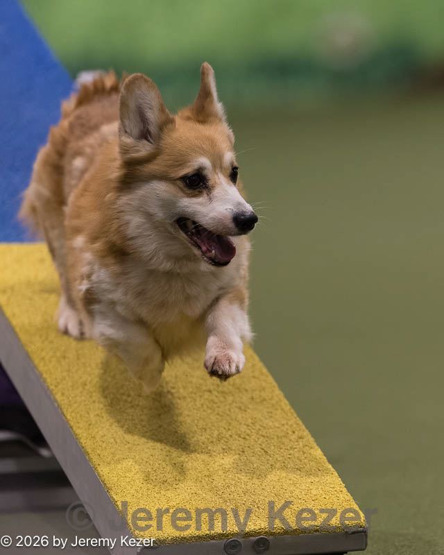 20260222-0309.jpg