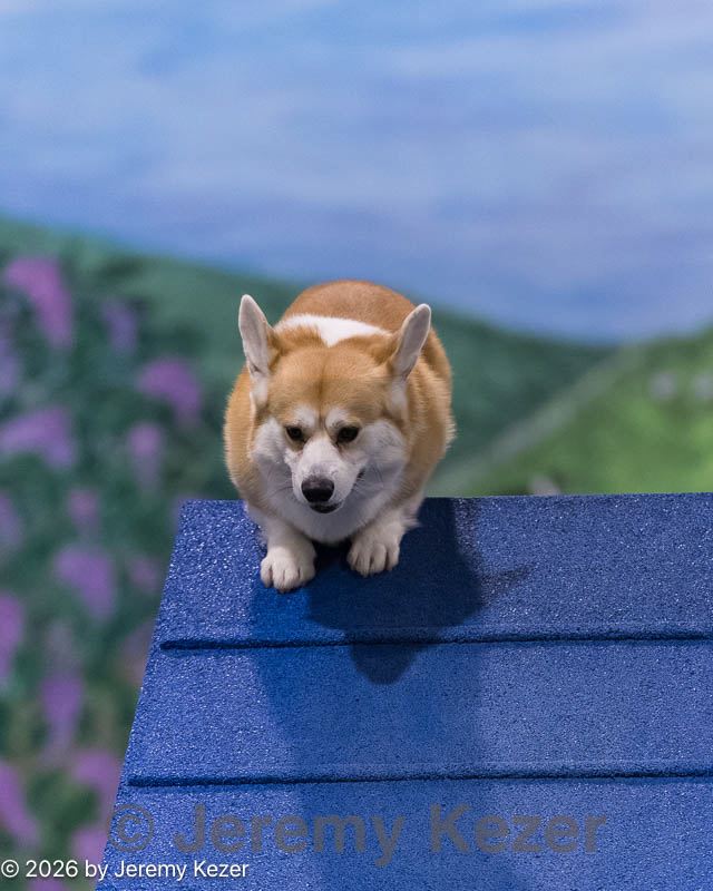 20260222-0311.jpg