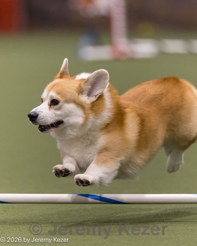20260222-0313.jpg