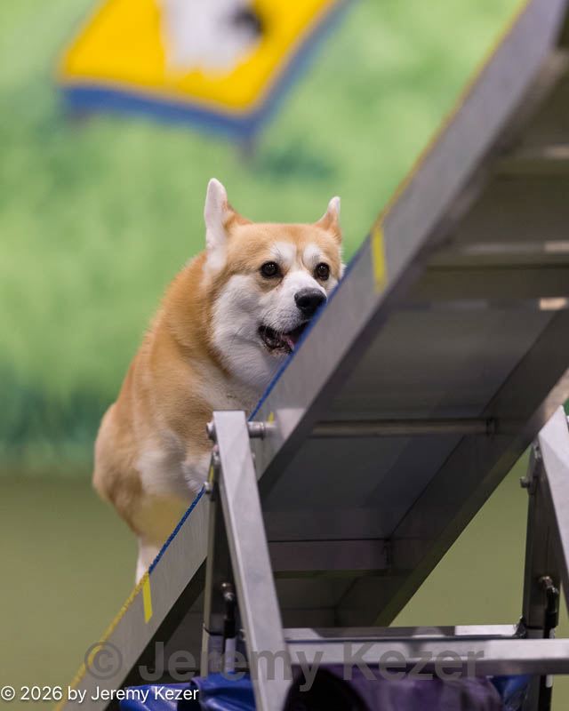 20260222-0314.jpg