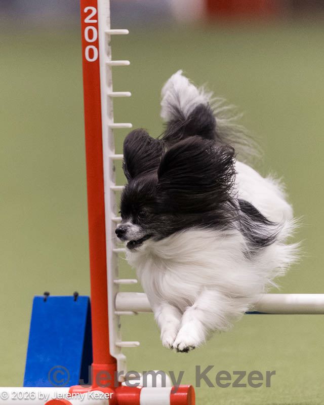 20260222-0213.jpg