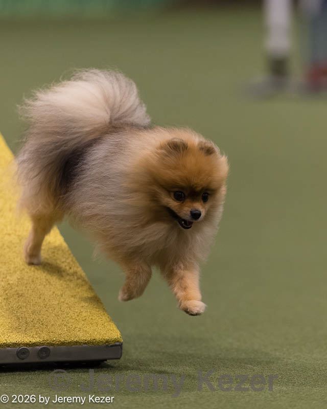 20260222-0257.jpg