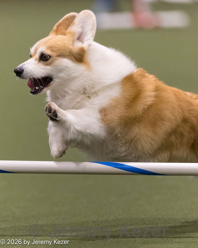 20260222-0260.jpg