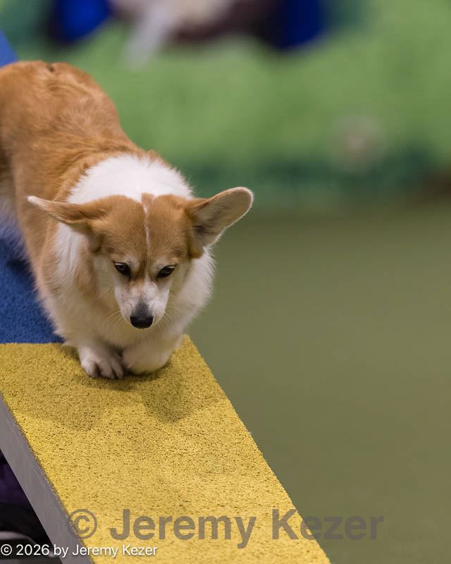 20260222-0262.jpg