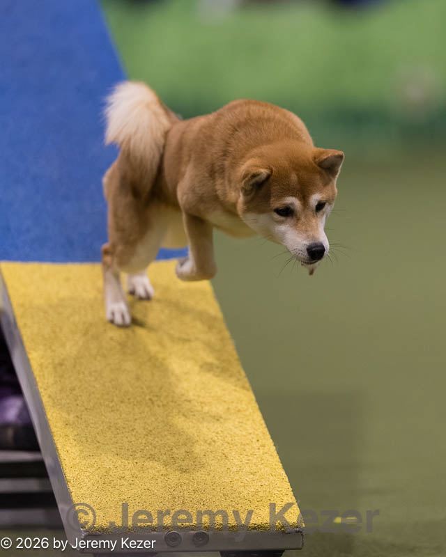 20260222-0157.jpg