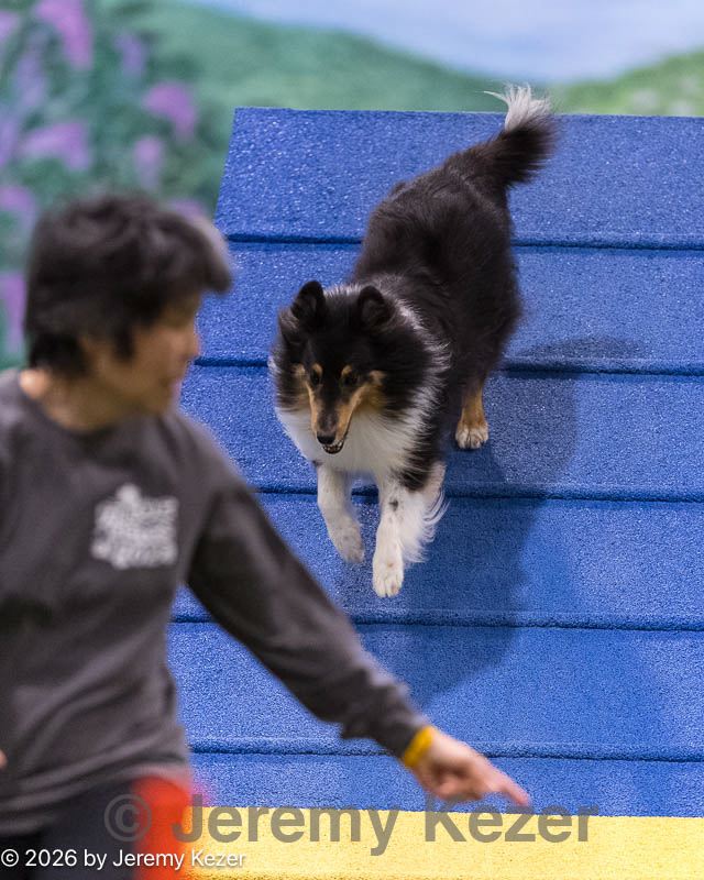 20260222-0177.jpg