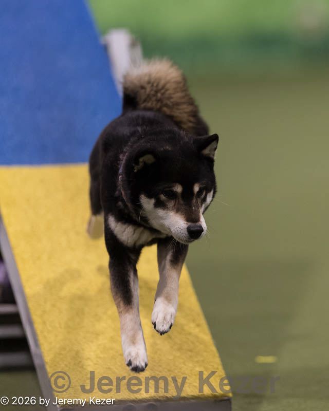 20260222-0185.jpg