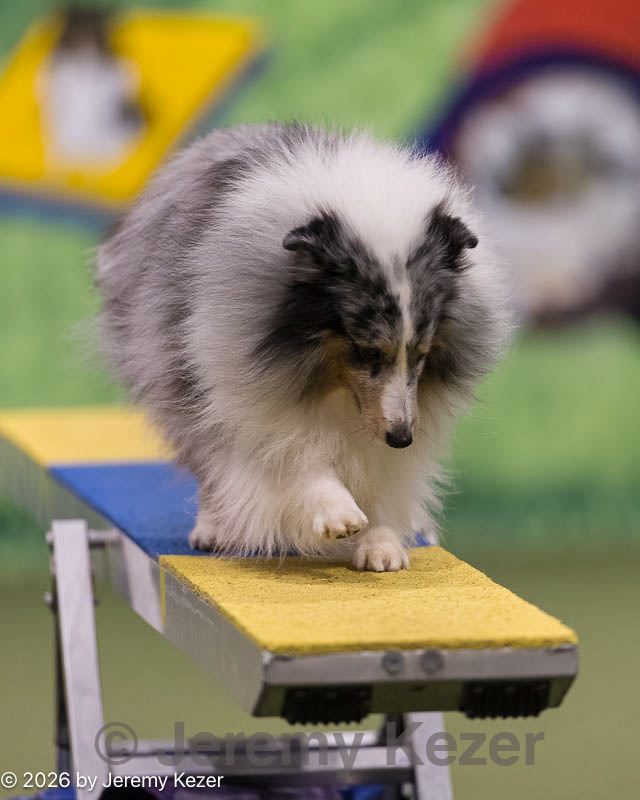 20260222-0196.jpg