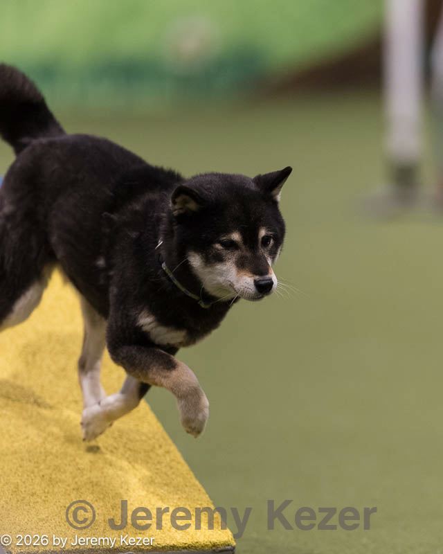 20260222-0209.jpg