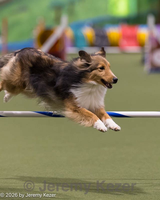 20260222-0061.jpg