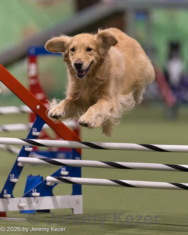 20260222-0080.jpg