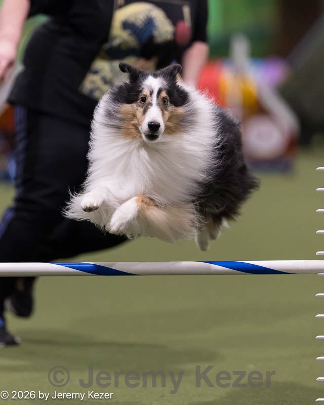 20260222-0084.jpg