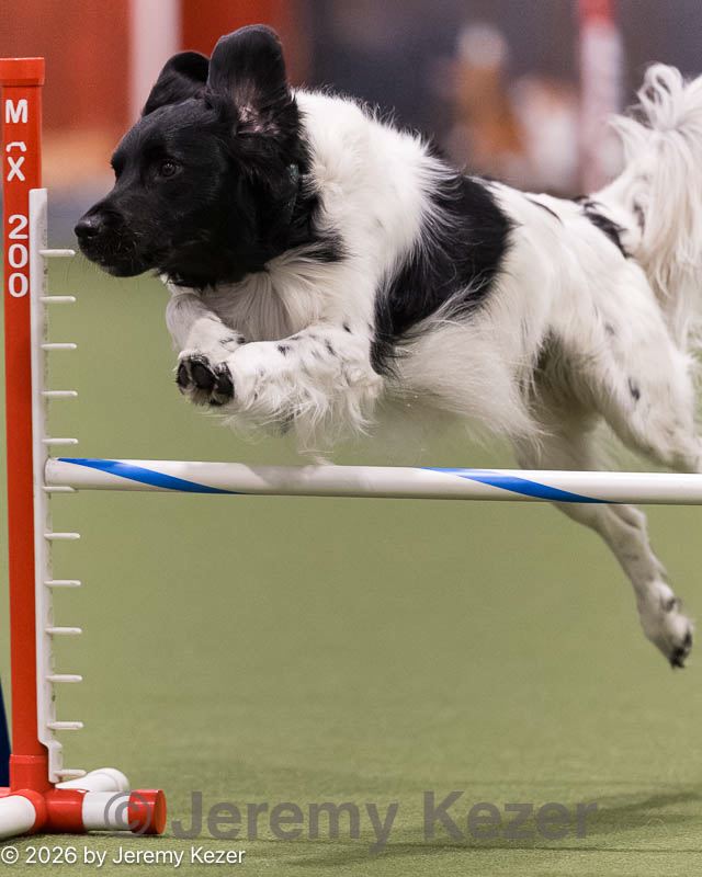 20260222-0141.jpg