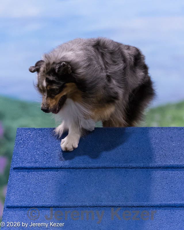20260222-0144.jpg