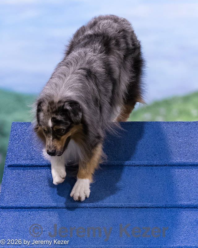 20260222-0145.jpg