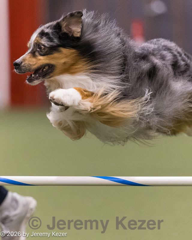 20260222-0147.jpg