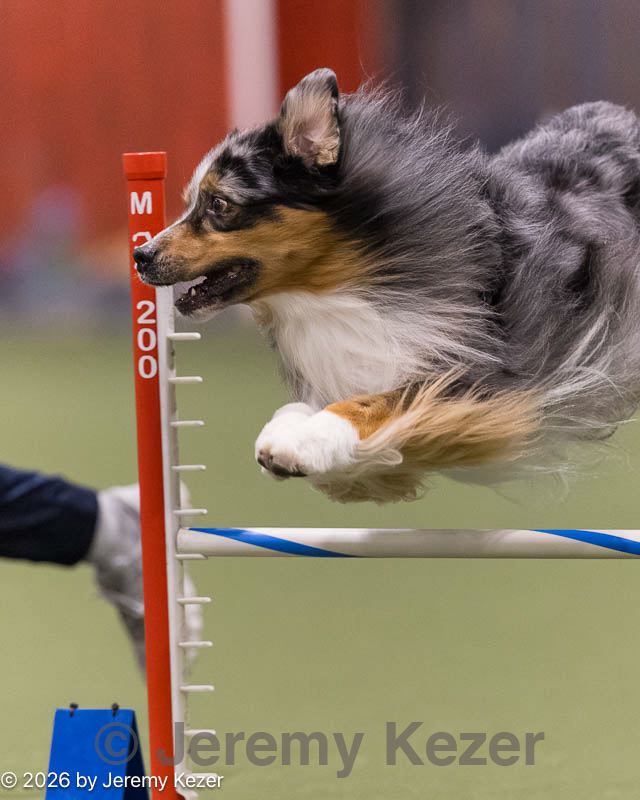 20260222-0148.jpg