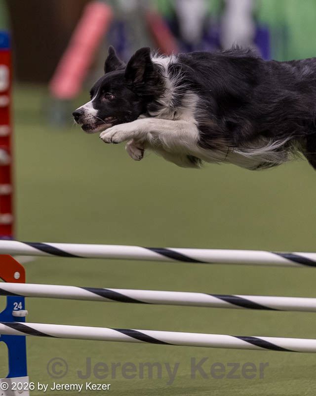 20260222-0030.jpg