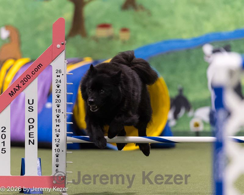 20260222-1512.jpg