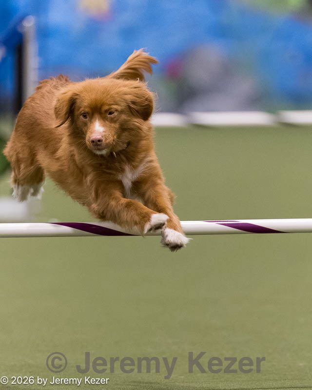 20260222-1471.jpg