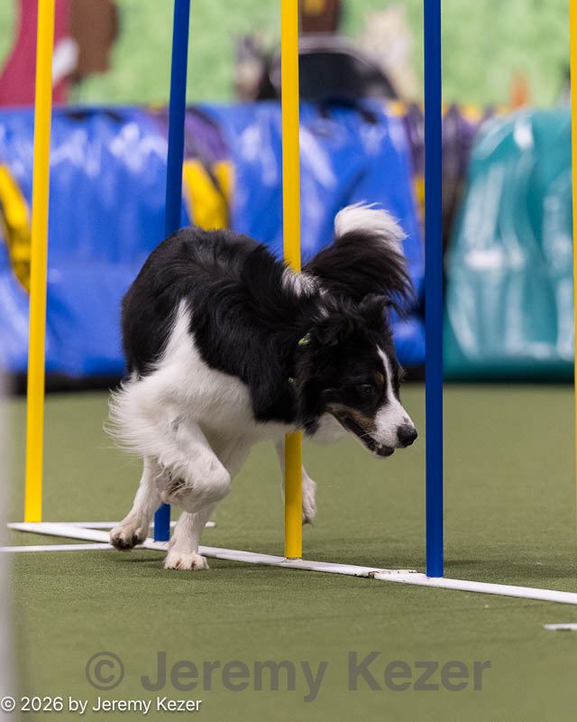 20260222-1475.jpg