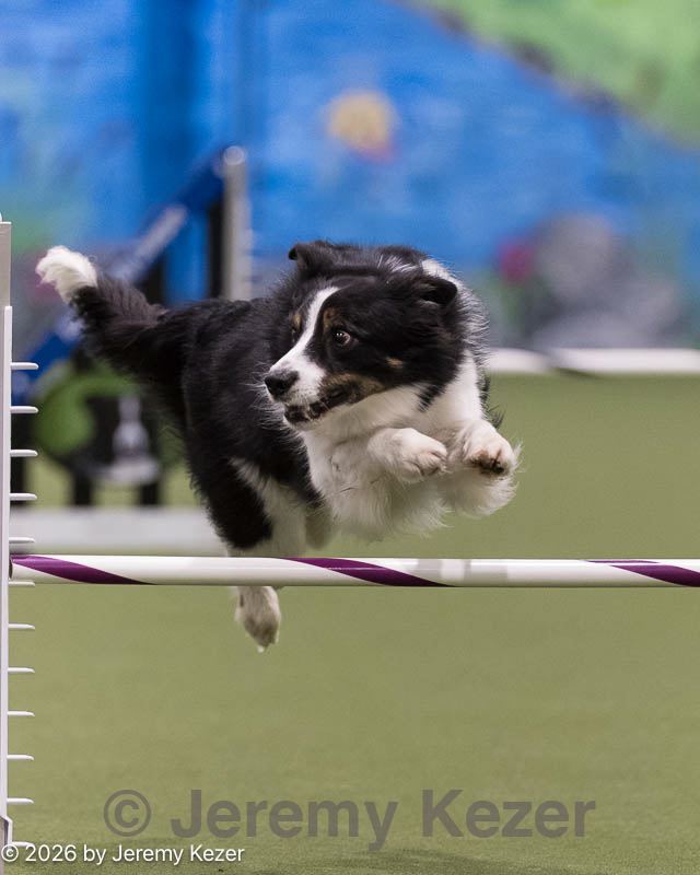 20260222-1482.jpg