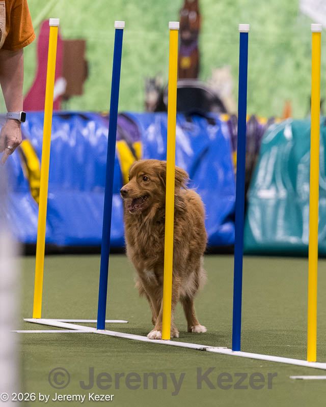 20260222-1488.jpg