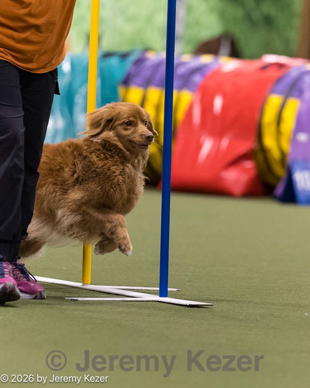 20260222-1490.jpg