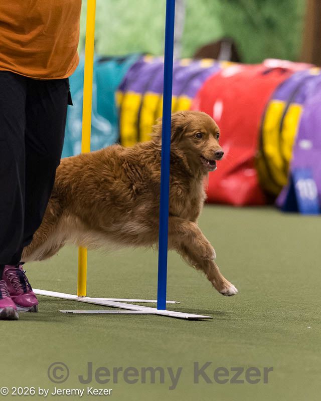 20260222-1491.jpg
