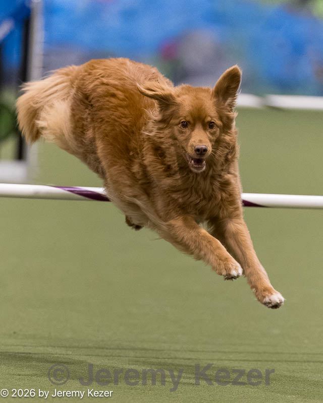 20260222-1495.jpg