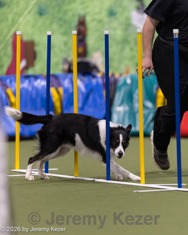 20260222-1503.jpg