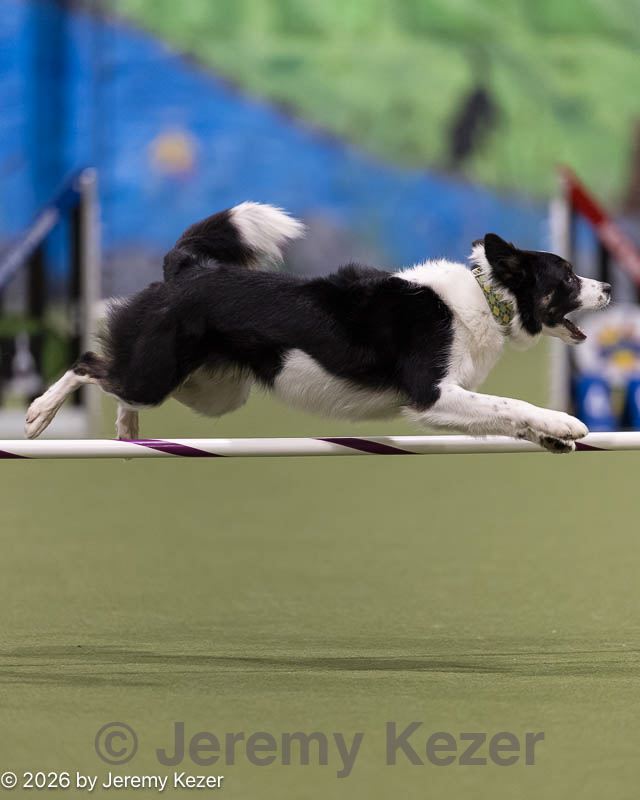 20260222-1508.jpg