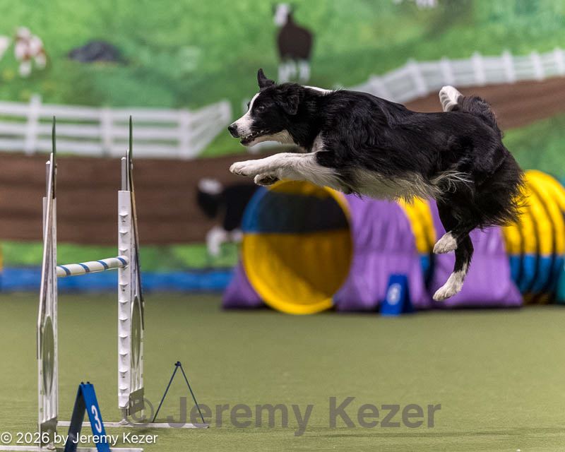 20260222-1388.jpg