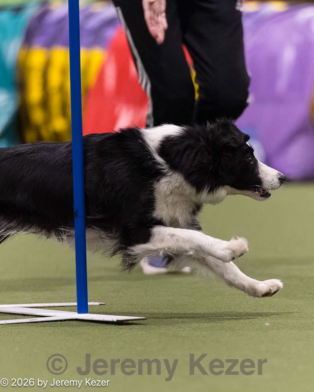 20260222-1397.jpg