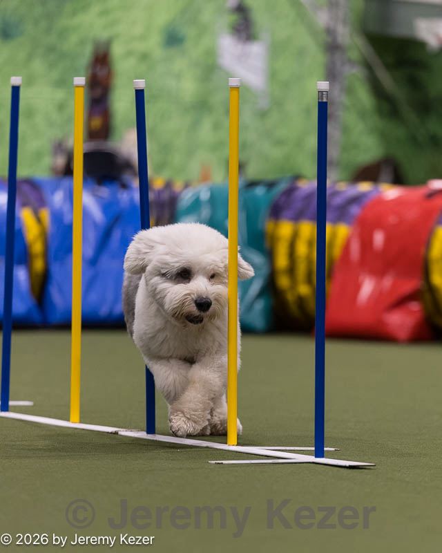 20260222-1428.jpg