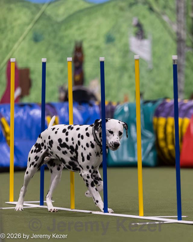 20260222-1447.jpg