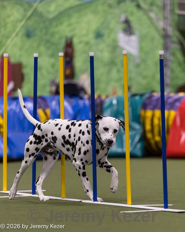 20260222-1448.jpg