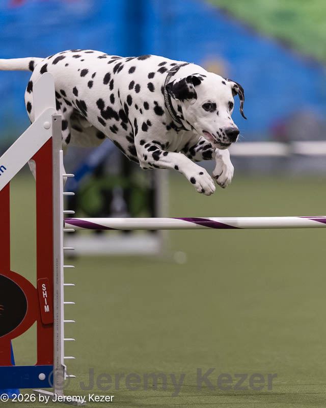 20260222-1451.jpg