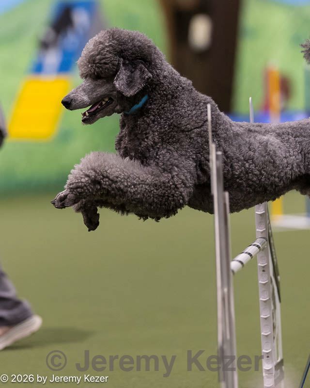 20260222-1462.jpg