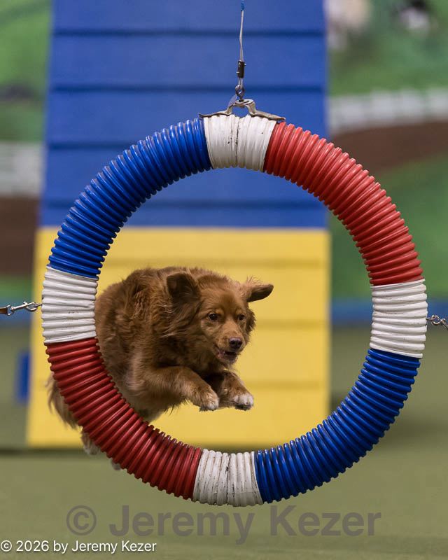 20260222-1126.jpg