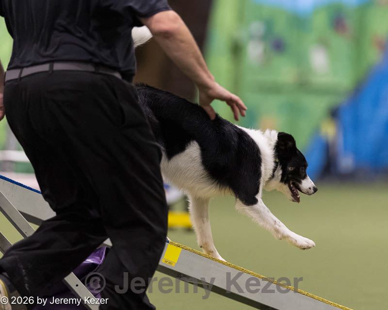 20260222-1138.jpg